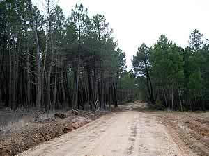 El Peñuco